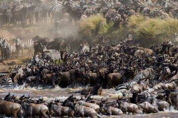 great migration