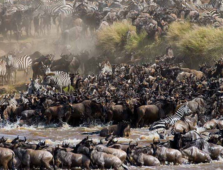 great migration